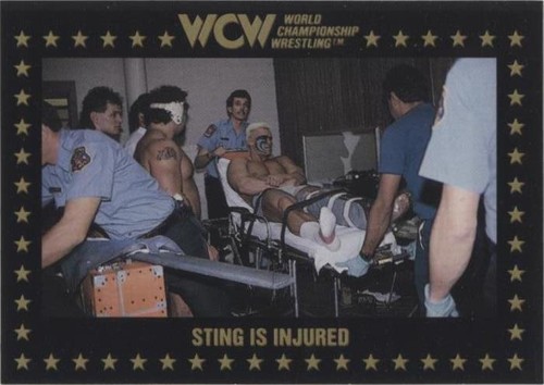 1991 Championship Marketing WCW - Sting #85
