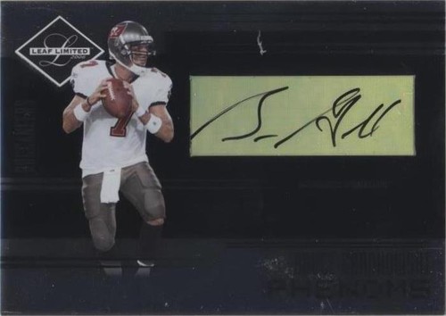 2006 Leaf Limited Bruce Gradkowski #291