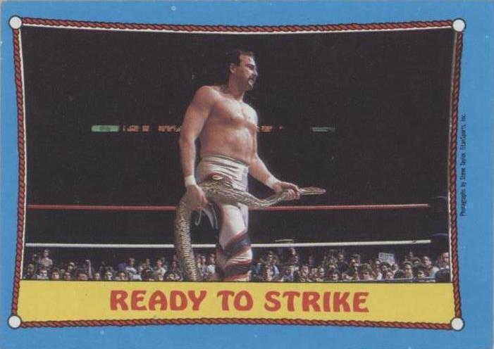 1987 Topps WWF - Jake "The Snake" Roberts #24