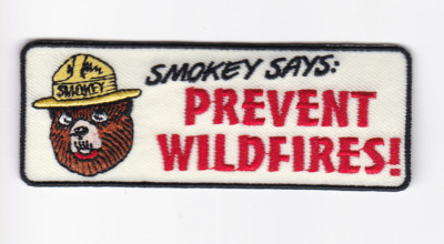 New rare Smokey Bear unique vintage design, firefighter Prevent Wildfires