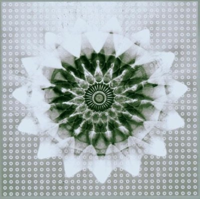 Jon & 808 State Hassell - Voiceprint - Jon & 808 State Hassell CD I4VG The Cheap