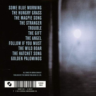 Some Blue Morning by CROWLEY,ADRIAN