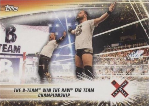2019 Topps WWE Summerslam - Bo Dallas Michael Mcgillicutty #80