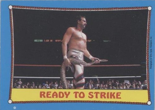 1987 O-Pee-Chee WWF - Jake "The Snake" Roberts #24