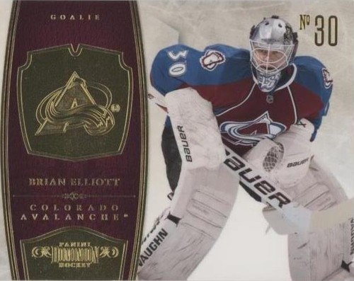2010-11 Panini Dominion - Brian Elliott #26