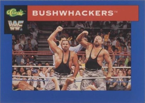 1991 Classic WWF Superstars - Bushwhackers #15