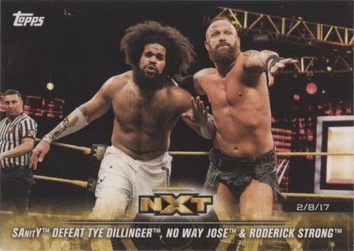 2018 Topps WWE NXT - Sanity #30