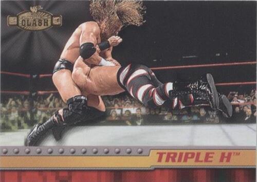 25 Years Triple H Signature Series Championship (Replica 25 Years Triple H Signature Series Championship (Replica