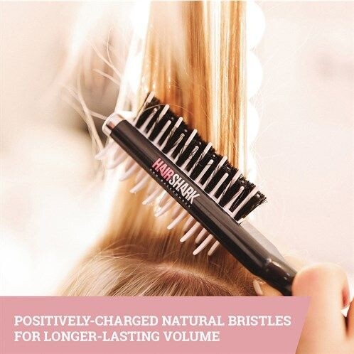 Hair Shark Pro Backcombing And Styling Brush Chatham In