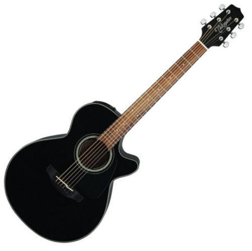 Takamine Acoustic Electric Guitars