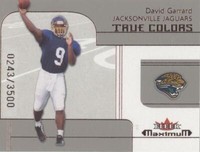 2002 Fleer Maximum David Garrard #262