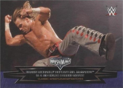 2015 Topps WWE Road to Wrestlemania - Shawn Michaels #24