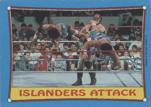 1987 Topps WWF - Demolition The Islanders #30