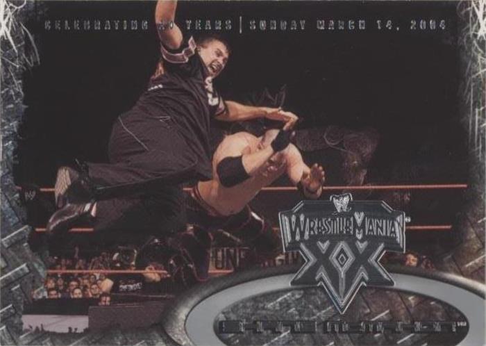 2004 Fleer WWE Wrestlemania XX - Shane McMahon #32
