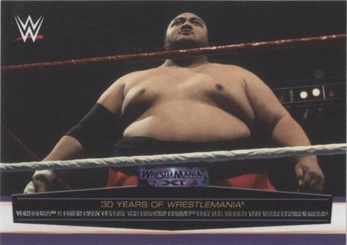 WWE WrestleMania 21 特別リングサイド パイプ椅子 WWE WrestleMania 21 特別リングサイド パイプ椅子 WWE