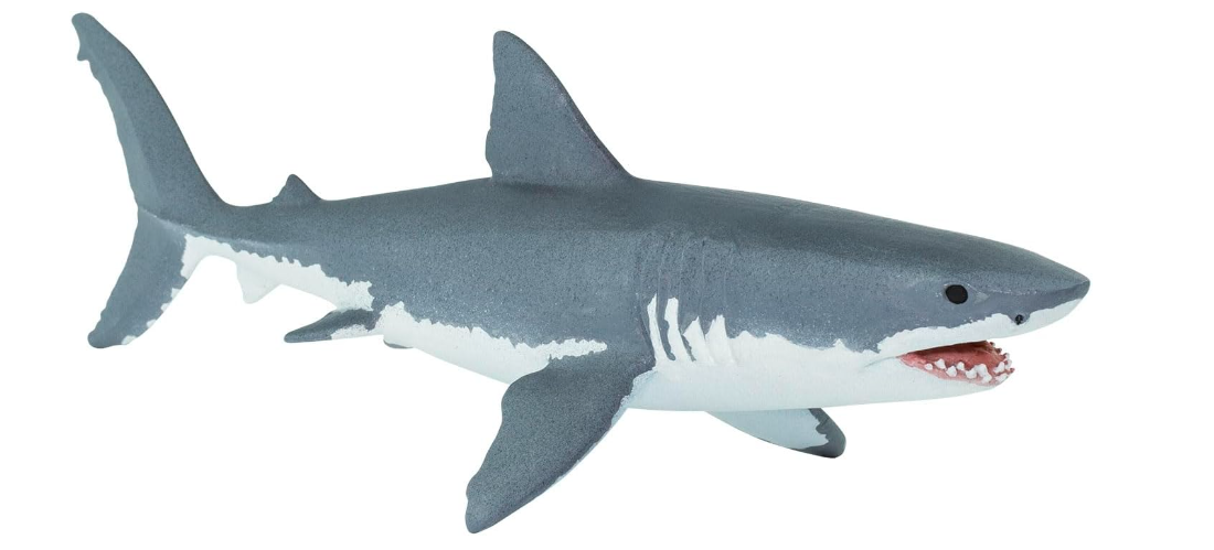 【レア即完売品】H&O SC WING TOP 50 / SHARK サメ 51NNGG9pvDL._UF350,350_QL50_.jpg