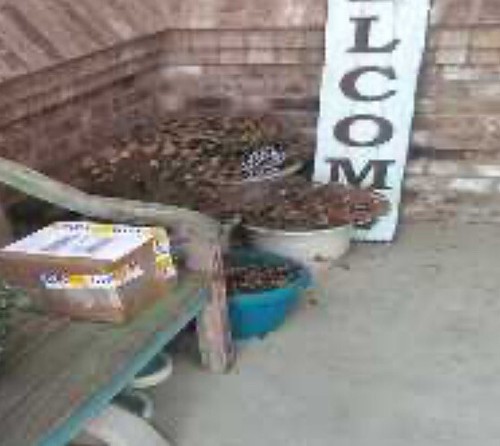 Artikelfoto(s) von einem verifizierten Käufer