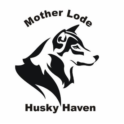 Mother Lode Husky Haven