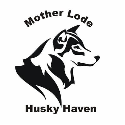 Mother Lode Husky Haven