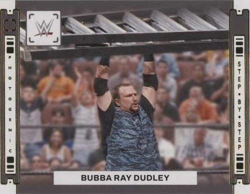 2024 Panini Photogenic WWE - Bubba Ray Dudley #6