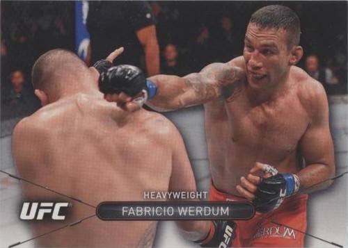 2016 Topps UFC High Impact - Fabricio Werdum #24