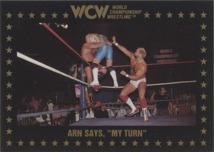 1991 Championship Marketing WCW - Arn Anderson #59