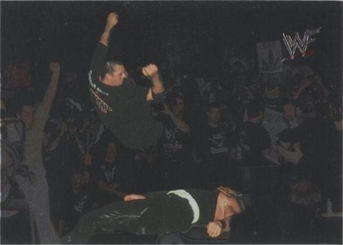 2000 Comic Images WWF No Mercy Wrestling Trading Cards