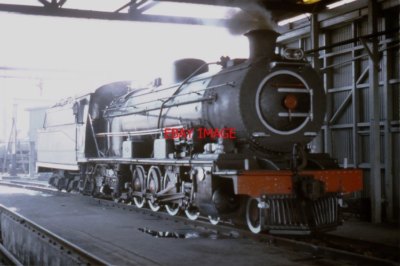 PHOTO  SOUTH AFRICAN RAILWAYS - 14R CLASS 4-8-2S AT STANGER SHED IN NATAL ON THE