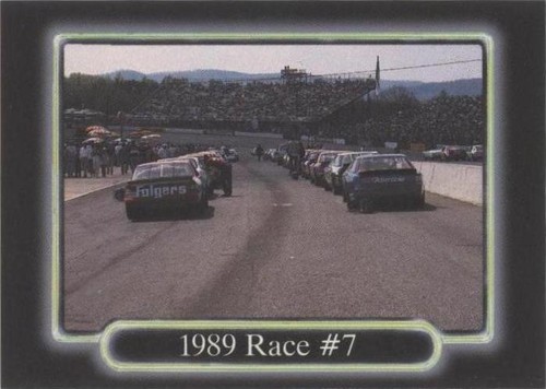 1990 Maxx Collection - Dale Earnhardt #173