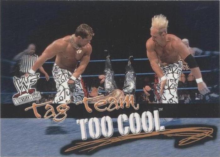 2001 Fleer WWF Wrestlemania - Brian Christopher Scotty Too Hotty #80