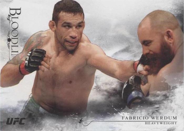 2014 Topps UFC Bloodlines - Fabricio Werdum #39