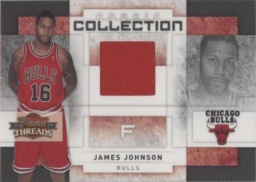 2009-10 Panini Threads - James Johnson #15