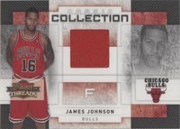 2009-10 Panini Threads - James Johnson #15