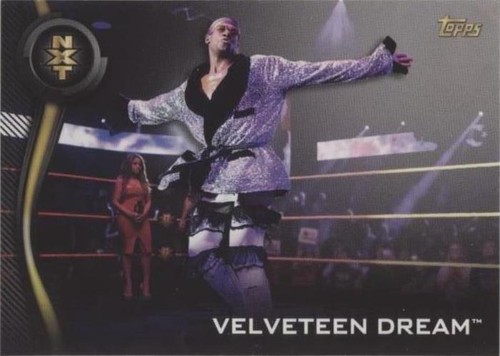 2019 Topps WWE NXT - Velveteen Dream #46