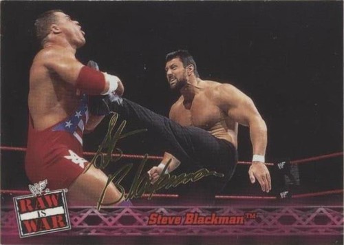 2001 Fleer WWF Raw is War - Steve Blackman #46