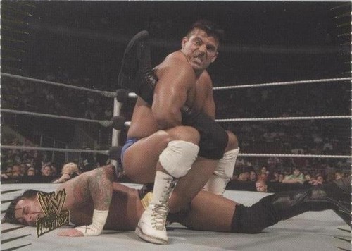 2007 Topps WWE Action - Matt Striker #59