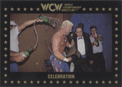 1991 Championship Marketing WCW - Sting #83