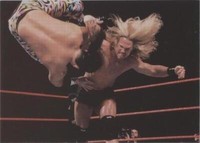 1999 Comic Images WWF SmackDown! - Test #26