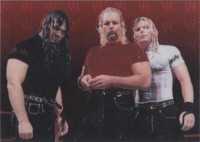 1999 Comic Images WWF SmackDown! Chromium - Jeff Hardy Matt Hardy Michael Hayes #30