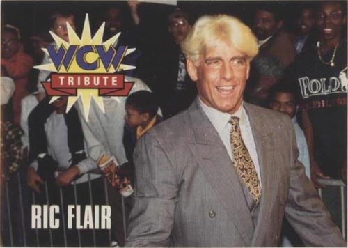 1995 CARDZ WCW Main Event - Ric Flair #76