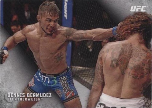 2015 Topps UFC Knockout - Dennis Bermudez #95