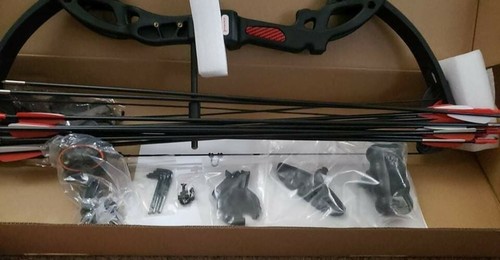 PANDARUS Compound Bow Archery for Youth and Beginner, NEW, W