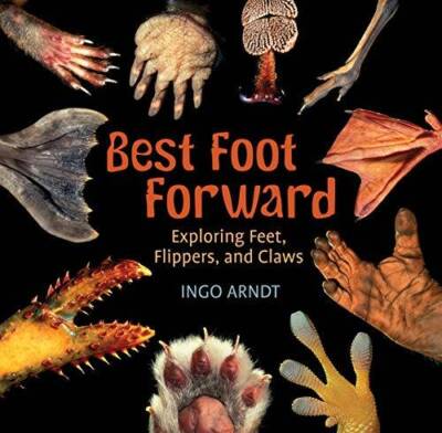 Best Foot Forward: Exploring Feet, Flippers, and Claws - Paperback - GOOD