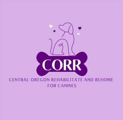 CORR, Inc.