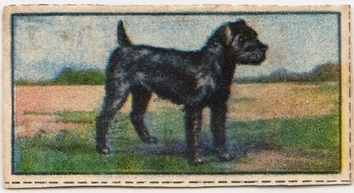 VeeFriends Super Stickers Insightful Irish Terrier 2025 PSA