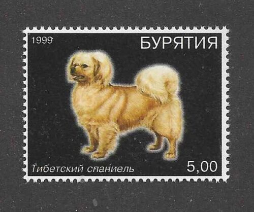 Dog Art Body Study Portrait Postage Stamp TIBETAN SPANIEL Russia 1999 MNH