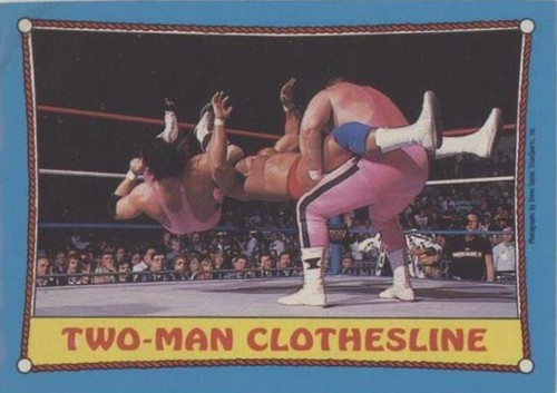 1987 O-Pee-Chee WWF - Bret Hart Jim Neidhart #22