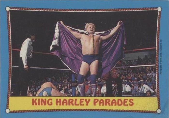 1987 O-Pee-Chee WWF - Harley Race #31