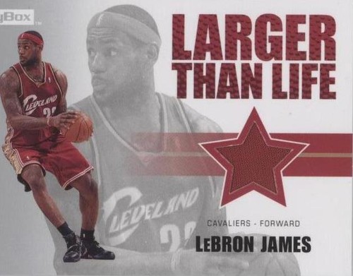 2008-09 Skybox - LeBron James #LL-LJ