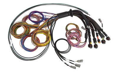 Haltech For NEXUS R5 Universal Wire-In Harness - 2.5M (8ft)